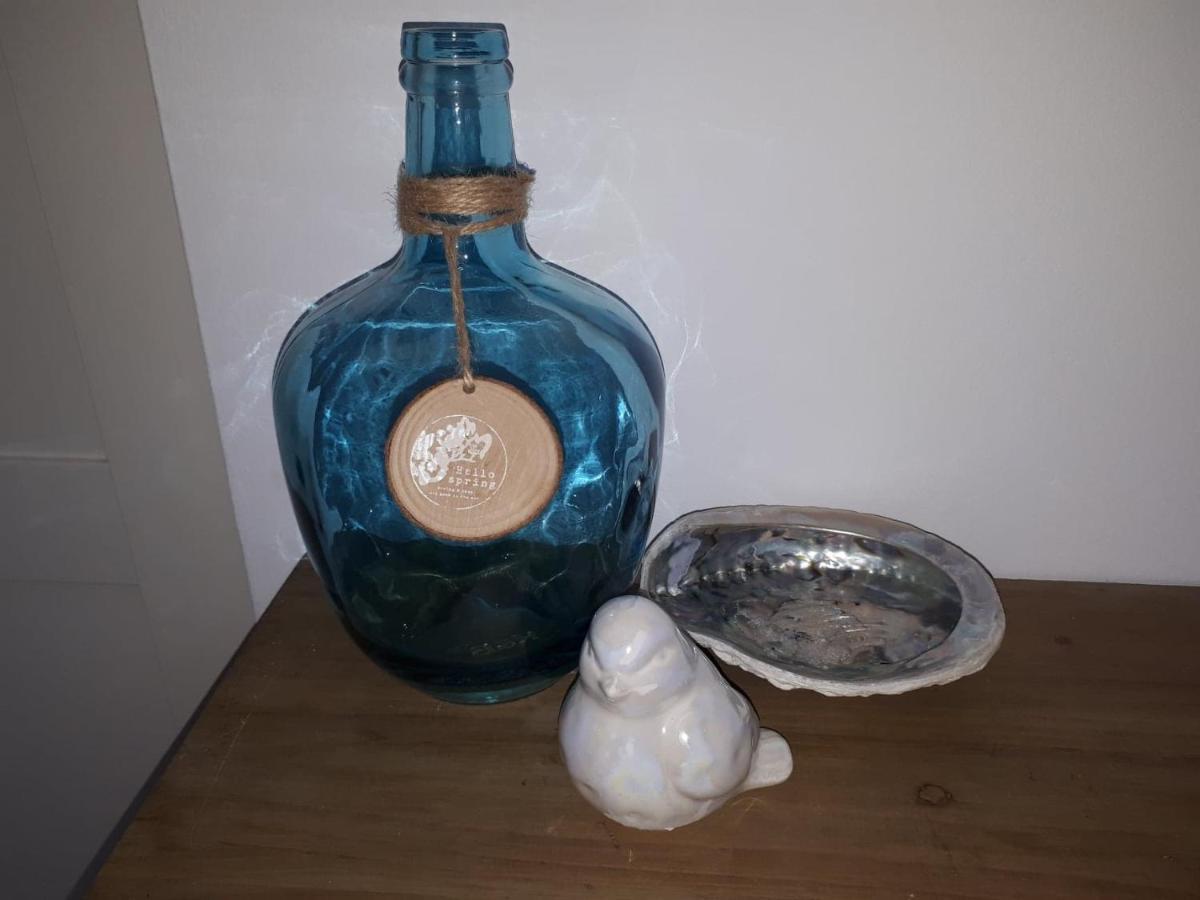 Blue Apartment 蒂米什瓦拉 外观 照片
