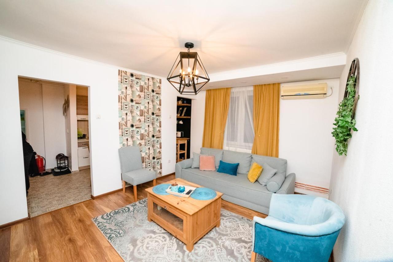 Blue Apartment 蒂米什瓦拉 外观 照片