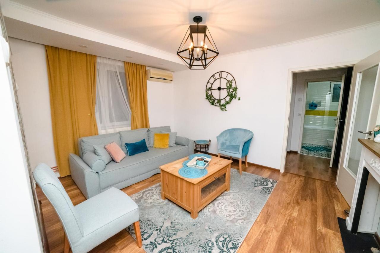 Blue Apartment 蒂米什瓦拉 外观 照片